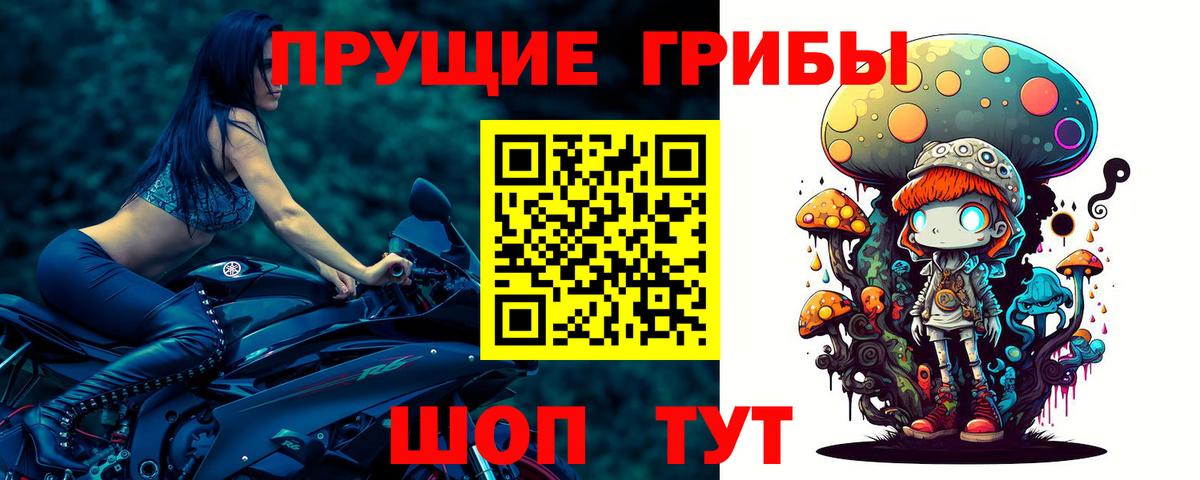Галлюциногенные грибы Psilocybe  Вход с VPN  Котовск  Псилоцибиновые грибы Magic Shrooms 