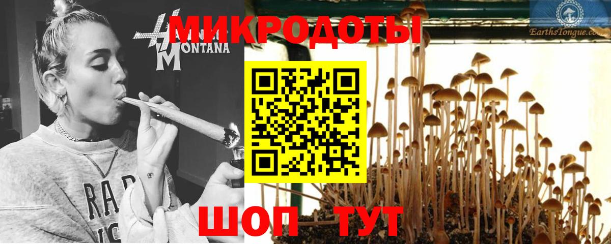 Галлюциногенные грибы GOLDEN TEACHER Котовск